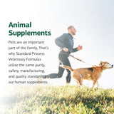 Standard Process Inc. Canine Enteric Support - Digestive System Support for Dogs - Nutritional Dog Supplement for Gut Health - Canine Supplement Formula to Aid Healthy Digestion - 30 g