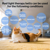 Red Light Therapy for Dogs,Wearable Infrared Light Therapy Belt for Pets Wounds Repair,Joint & Back Pain Relief,12.8 × 6.8 in 660/850 nm 80-LED Pad