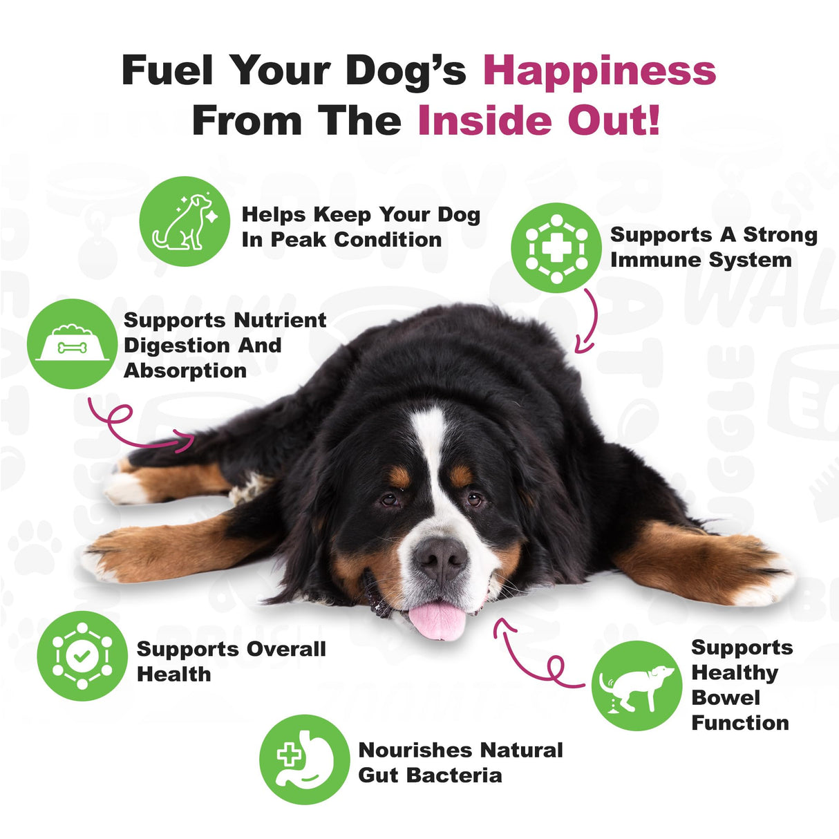 Doggie Dailies Probiotics for Dogs - Advanced Dog Probiotics with Prebiotics - Promotes Digestive Health - Supports Immune System and Overall Health (Duck) 225 Soft Chews