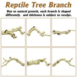 VCEPJH Large Snake Climbing Branch Decor 15.5 in Natural Reptile Wood Cork Log Bearded Dragon Tank Accessories Tree Trunk for Chameleon Gecko Ball Python Frog