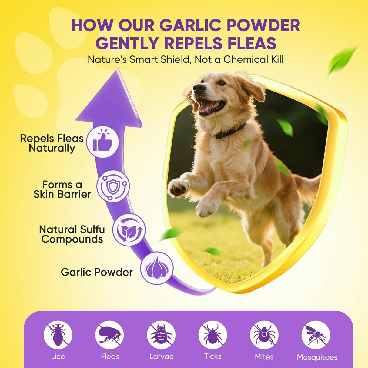 Fleas Ticks Treatment Dog Oral Chewables Support Supplement Breeds and Ages Dogs Chicken Flavor