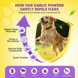 Fleas Ticks Treatment Dog Oral Chewables Support Supplement Breeds and Ages Dogs Chicken Flavor