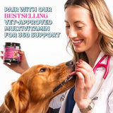 Wild Alaskan Salmon Oil, Omega-3 Fish Oil for Dogs and Cats, Fatty Acids, Salmon Oil for Dogs, Skin and Coat Health, Pure Dog Food Topper, Supports Joints, Brain & Heart Health - 16 oz