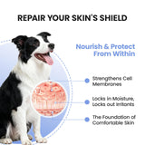 Pawfect Vita Dog Allergy Skin Relief Chews for Hotspot & Dry Skin, Itchy Skin Relief Supplement for Dog Paw Licking, Anti-Itch Soft Chews with Colostrum-Fish Oil-Probiotic to Boost Immune System 180ct