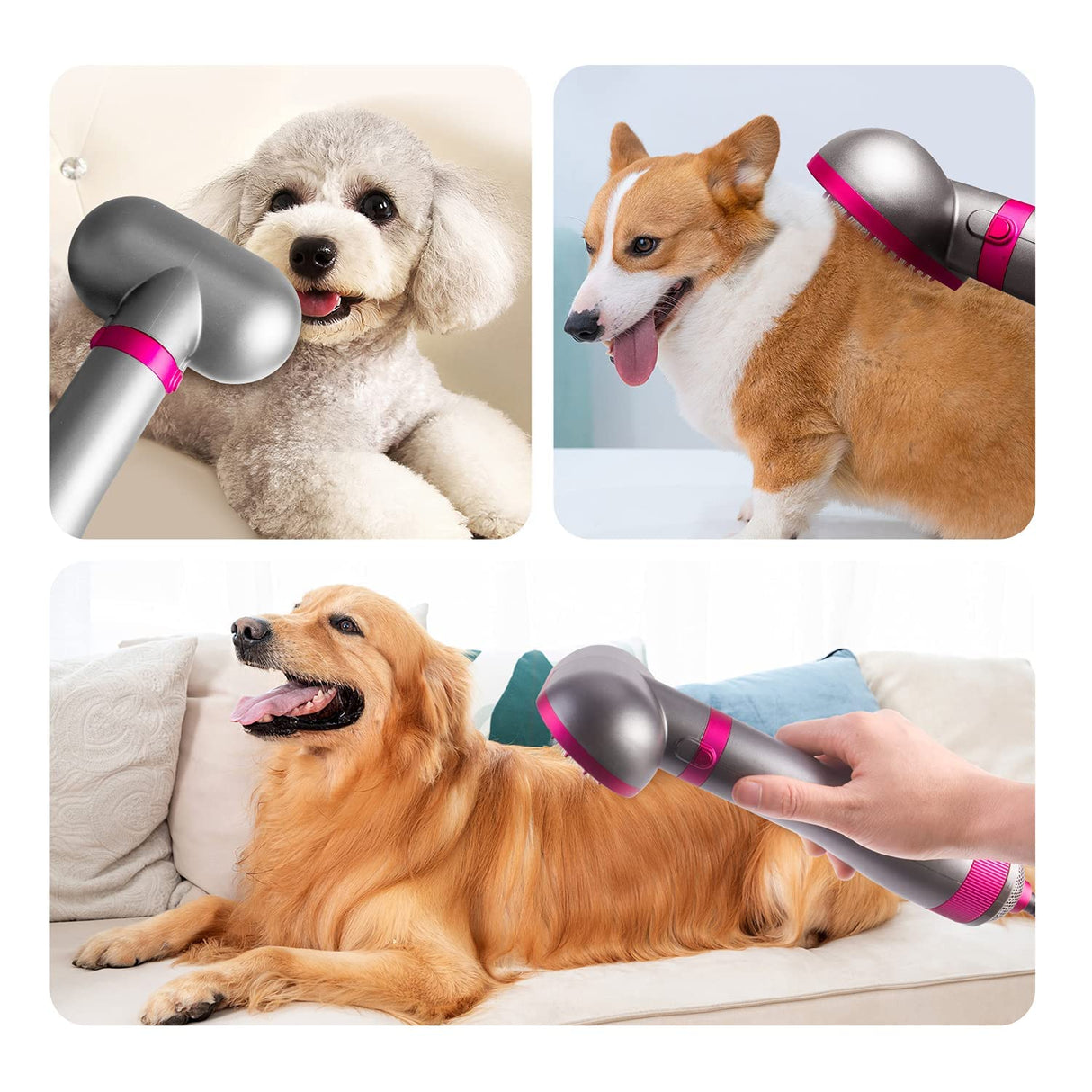 HimyBB Dog Hair Dryer, 2-in-1 Dog Hair Blower with Brush, 3-Modes Blow Professional Home Grooming Drying for Small Large Cat Pet Puppy Rose