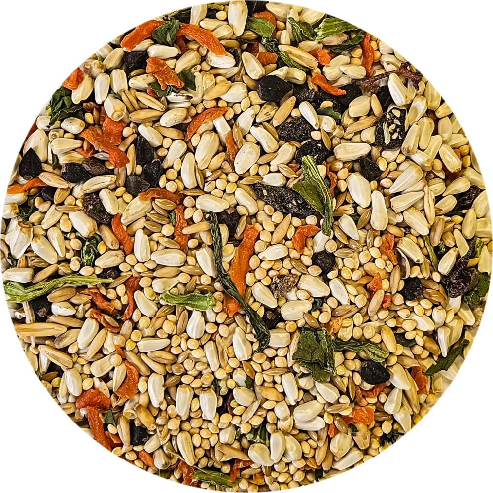 Sweet Harvest Cockatiel Bird Food (No Sunflower Seeds), 4 lbs Bag - Seed Mix for Cockatiels