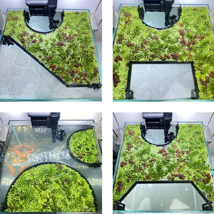 Floating Plant Corral for Aquarium, Fish Tank Accessories to Separate Floating Plants, Automatically Adjusts Height with Water Level, Suitable for All Floating Plants and All Aquariums (Style 3)