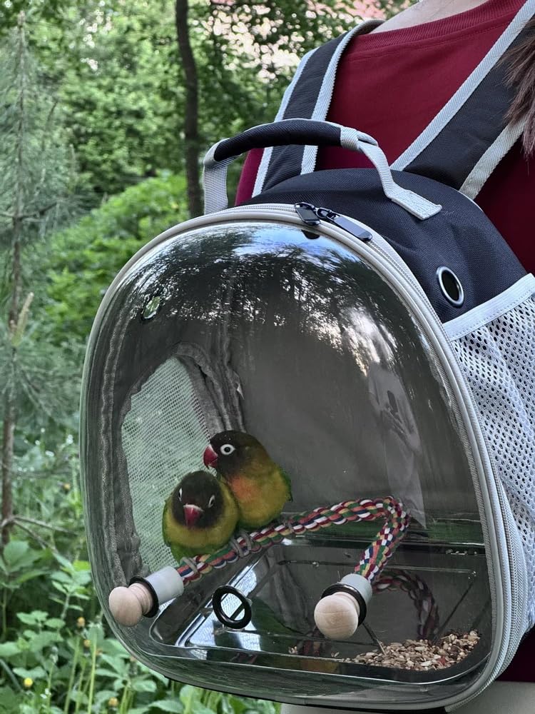 Small Bird Travel Backpack Carrier Cage, Backpack to Transport Backpack Carrier with Metal Tray Stand Perch for Parakeet Cockatiel Budgies Vet Carry Book Bag Black