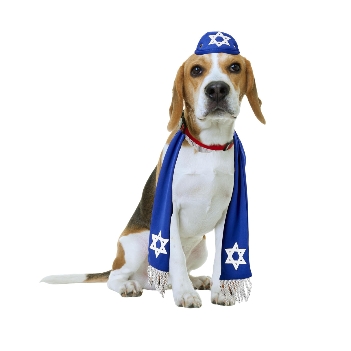 Pets Yarmulke and Tallis Hanukkah Set with Star of David (Large/XL)