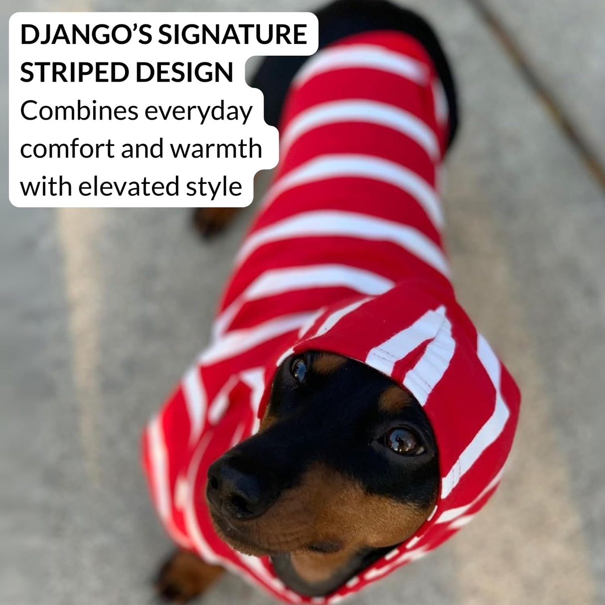 DJANGO Dog Hoodie – Warm, Lightweight, Soft & Stretchy Dog Sweater with Hood, Harness Hole & Elastic Waistband – Cozy Sweatshirt for Small Dogs up to 25 lbs, Dachshunds & Puppies – Crimson Red, Small