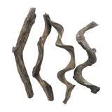 Reptile Decor 4PCS Natural Forest Branch Terrarium Habitat Driftwood Decoration Lizard Climbing Tree Branch for Bearded Dragon Gecko Snake Frog Chameleon Spider