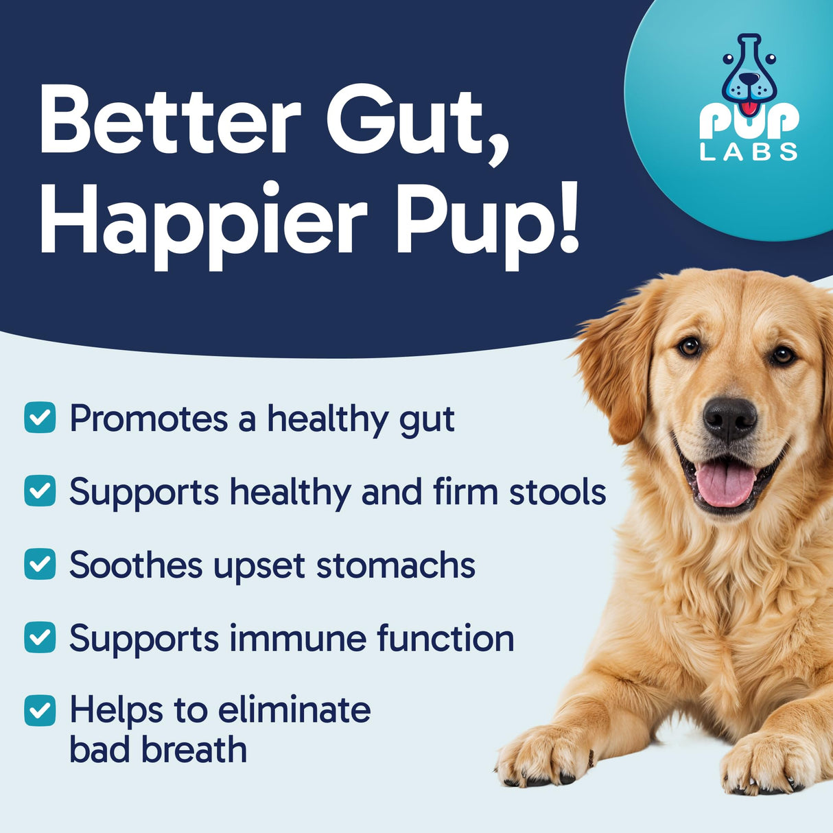Pup Labs Tummy Essentials Probiotic Chews for Dogs, Supports Gut Health for Dogs and Firm Stools, Helps Eliminate Digestive Dysfunction, Dog Probiotics Made in The USA, 30 Chews