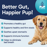 Pup Labs Tummy Essentials Probiotic Chews for Dogs, Supports Gut Health for Dogs and Firm Stools, Helps Eliminate Digestive Dysfunction, Dog Probiotics Made in The USA, 30 Chews