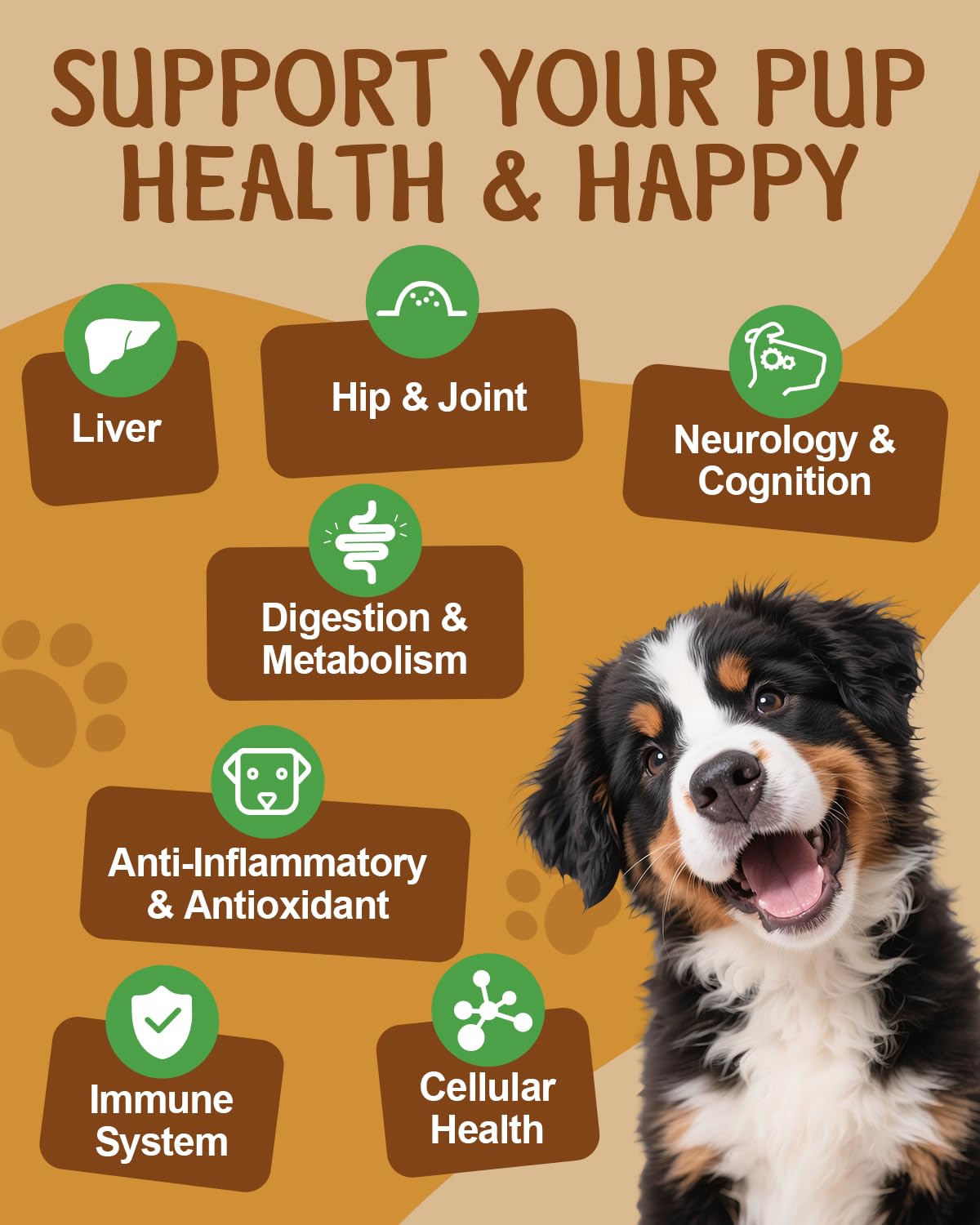 Mushroom for Dogs - Turkey Tail for Dogs - 9 Organic Mushroom Supplement with Turkey Tail, Reishi, Lions Mane - Hip & Joint, Skin & Coat, Digestive, Cellular, Immune Health Support - Chicken Flavor