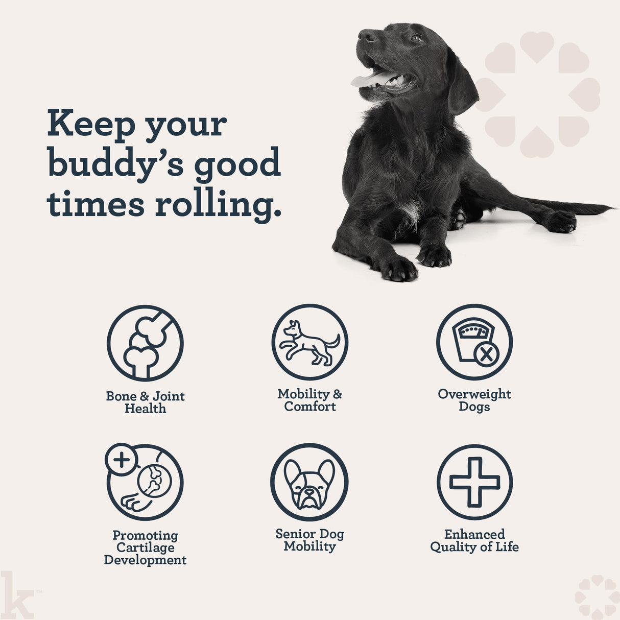 Kradle Hip and Joint Chews for Dogs - Daily Mobility & Joint Health Supplement - Soft Chews with Glucosamine, Chondriotin, MSM, Hyaluronic Acid & Turmeric - 75 Chews