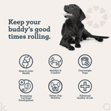 Kradle Hip and Joint Chews for Dogs - Daily Mobility & Joint Health Supplement - Soft Chews with Glucosamine, Chondriotin, MSM, Hyaluronic Acid & Turmeric - 75 Chews