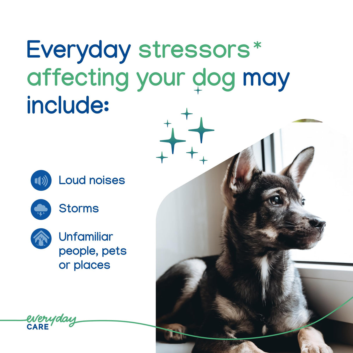 VIRBAC ZENIDOG Gel Diffuser - Dog Calming Pheromone Diffuser for Stress Relief No Electricity Required and Lasts up to 2 Months