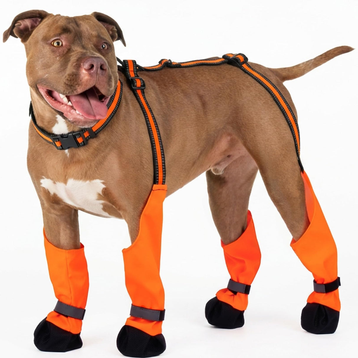 IKIPUKO Dog Suspenders Boots, Winter Snow Shoes for Large Dogs, Waterproof Dog Boots for Rain Mud, Anti-Slip Stay-On for Active Dogs, Adjustable Reflective Paw Protector for Walking Hiking, 2XL Orange
