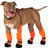 IKIPUKO Dog Suspenders Boots, Winter Snow Shoes for Large Dogs, Waterproof Dog Boots for Rain Mud, Anti-Slip Stay-On for Active Dogs, Adjustable Reflective Paw Protector for Walking Hiking, 2XL Orange