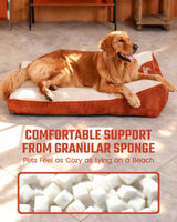Pawccoli Dog Beds Large Sized Dog - Comfy Flat Pet Beds with Removable Washable Cover, Orthopedic Foam Puppy Mat with Pillow Suitable for Pet Up to 65 lbs(36''×24''×5'')