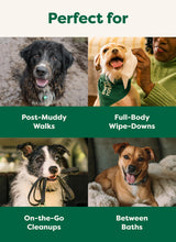 Load image into Gallery viewer, Earth Rated Pet Wipes for Dogs and Cats, Hypoallergenic, Cleaning and Hydrating, for Grooming Paws, Body and Butt, Unscented, 400 Count
