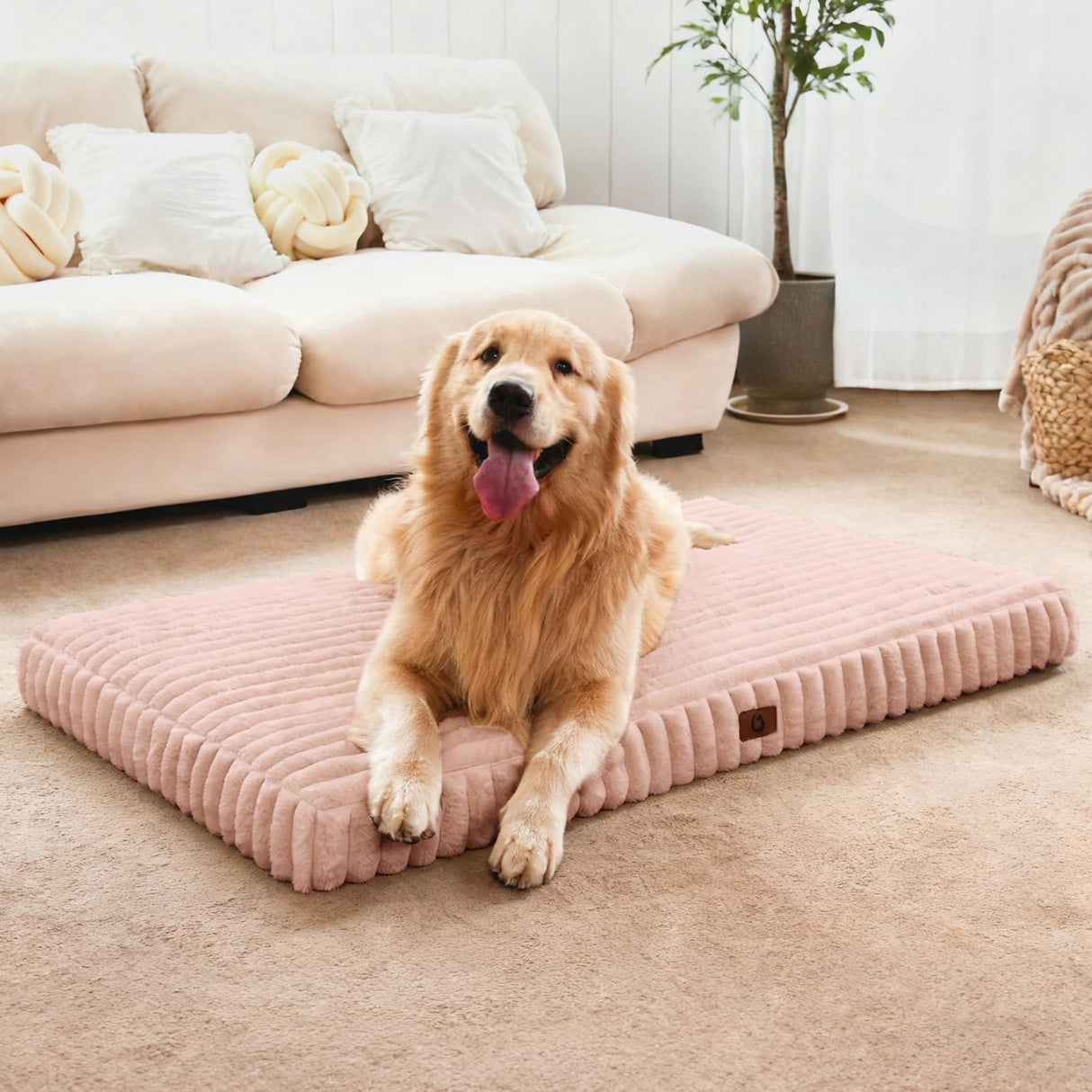 Cozila Orthopedic Dog Bed Medium Size Dog, Pet Beds with Waterproof Lining, Soft Short Plush Surface & Egg Crate Foam, Machine Washable Pet Mat with Removable Cover & Anti Slip Bottom