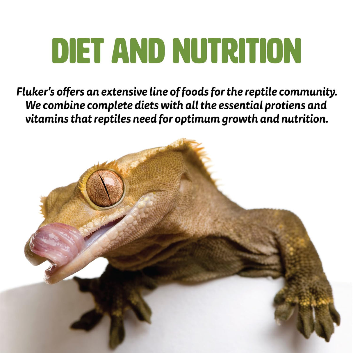 Fluker's High Calcium Mealworm Diet, Can Be Used as a Gut-Loading Food or Bedding, 3 lbs.