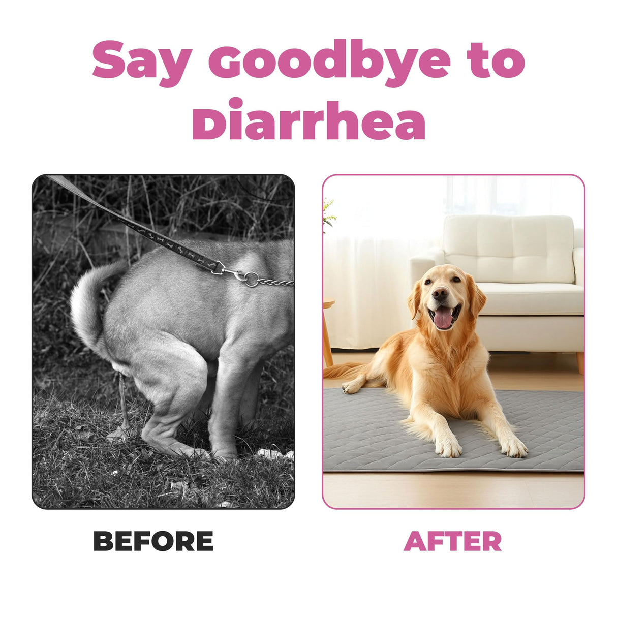 Probiotics for Dogs - Diarrhea Relief for Dogs and Cats - Supports Relief of Diarrhea and Loose Stools - Supports Digestive Balance and Gut Health - with Kaolin Clay and Probiotics - 300 Tablets
