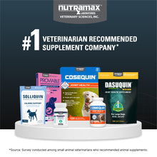 Load image into Gallery viewer, Nutramax Dasuquin for Large Dogs, Joint Health Supplement, Contains Glucosamine for Dogs, Plus Chondroitin, ASU and More, Supports Healthy Joints, Soft Chews, 84 Count
