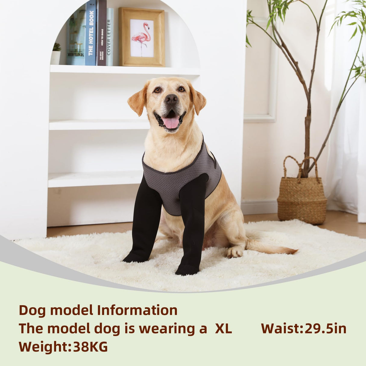 Dog Socks to Prevent Licking Paws ，Breathable Leg Sleeve to Stop Licking and Biting,Firm and Secure Protect Wounds Dog Recovery Sleeve Socks (Medium-Gray)