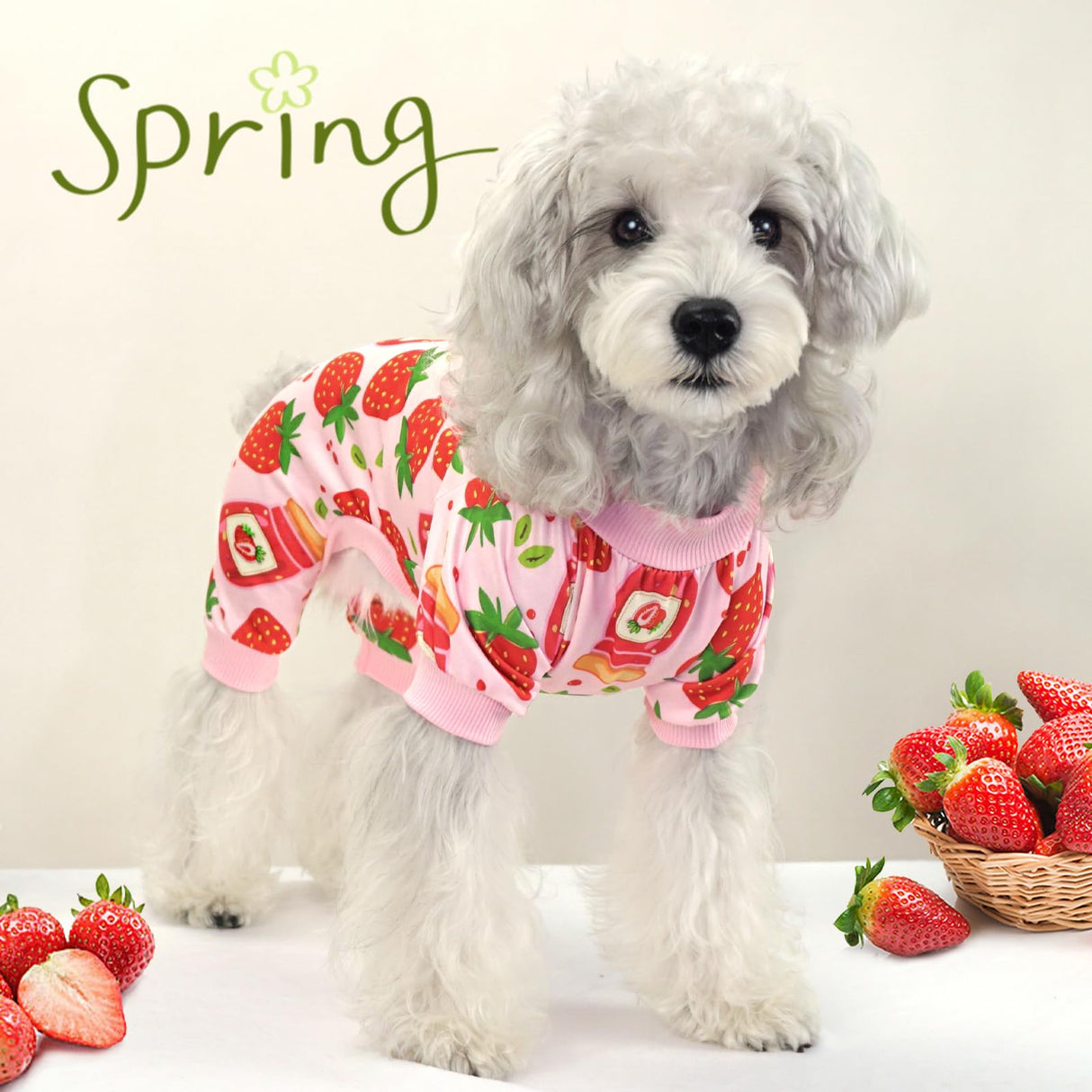 XPUDAC 4 Pack Dog Pajamas for Small Dogs Girl Boy Soft Stretchy Pjs Summer Puppy Clothes for Doggie Pet Outfits, Large