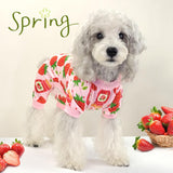 XPUDAC 4 Pack Dog Pajamas for Small Dogs Girl Boy Soft Stretchy Pjs Summer Puppy Clothes for Doggie Pet Outfits, Large