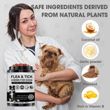 Dog Flea and Tick Chewable Supplement – Natural Support for Skin & Coat Health, Seasonal Comfort & Itch Relief – 180 Soft Chews with Chicken Flavor for Dogs & Puppies (180pcs)