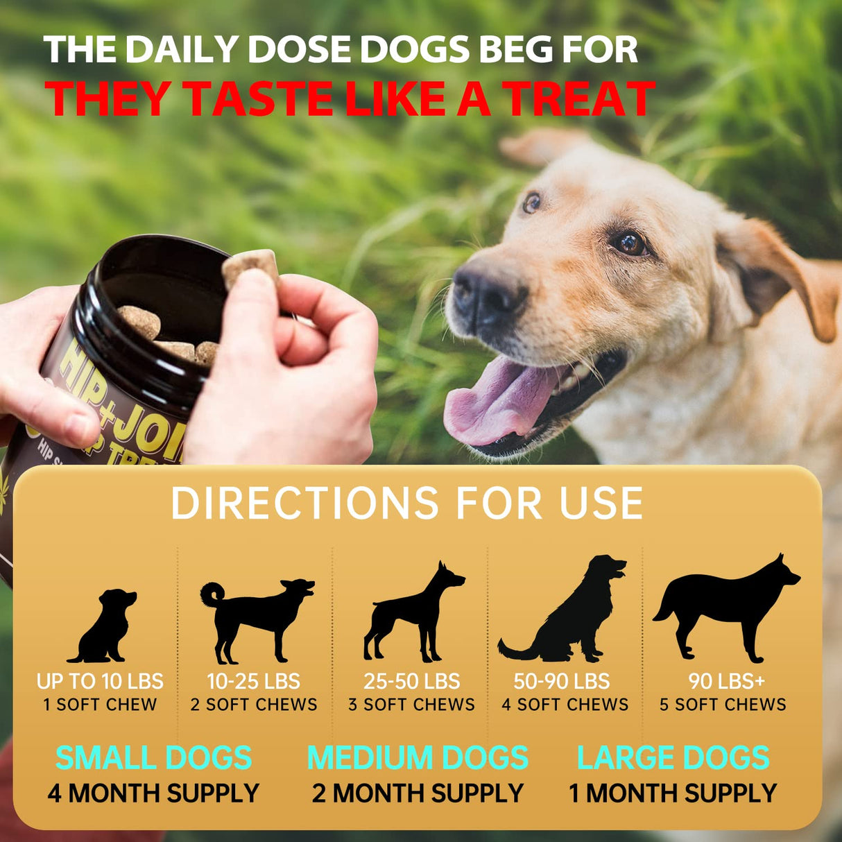 Hemp Hip and Joint Supplement for Dogs - Glucosamine for Dogs - Chondroitin, Hemp Oil, MSM & Turmeric - Support Joint Mobility, Joint Pain Relief, Hip Dysplasia, Arthritis Health Care - 120 Chews