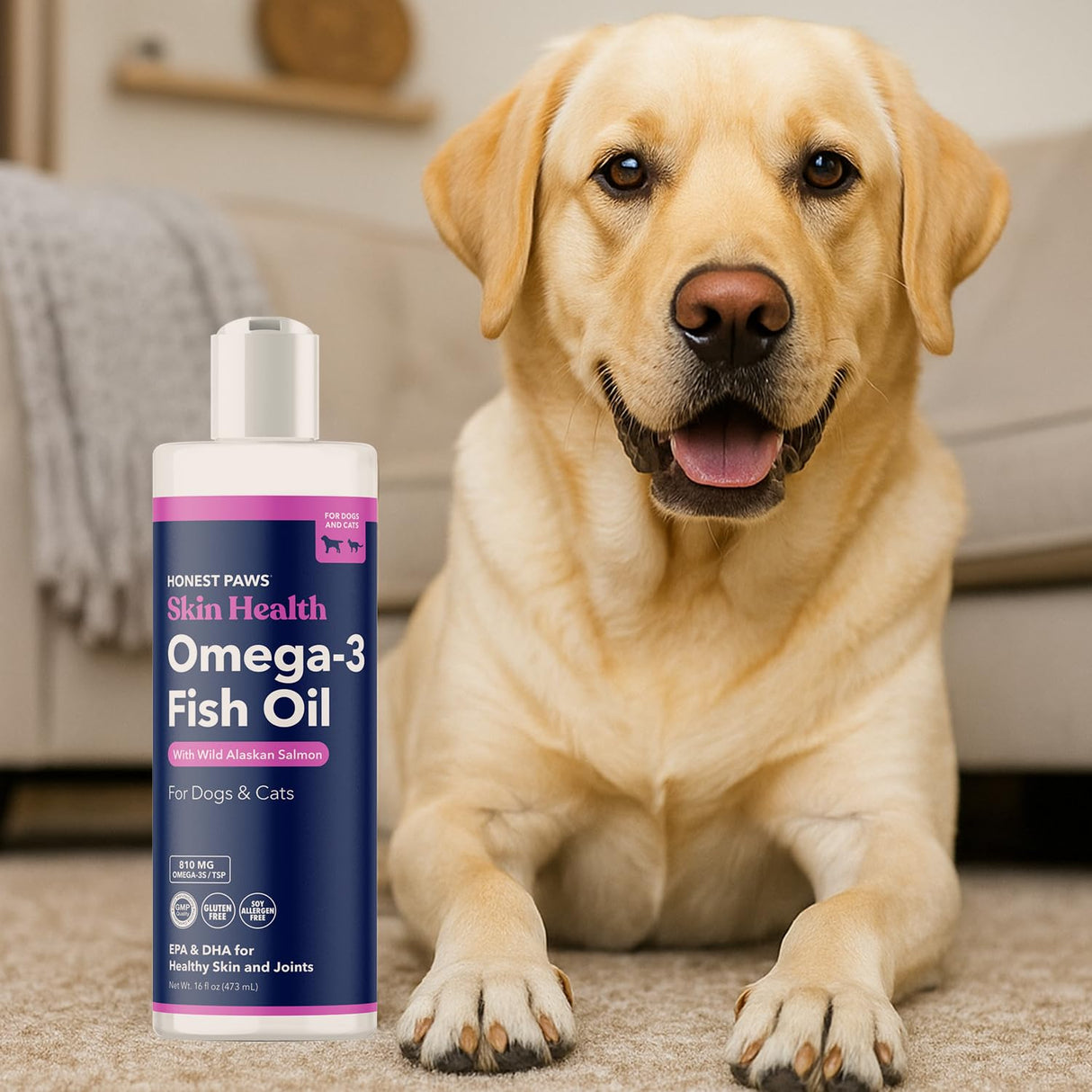 Honest Paws Salmon Oil for Dogs & Cats – Omega 3 Fish Oil Supplement for Skin, Coat, Joint & Heart Health – Natural, Sustainably Sourced Wild Alaskan Salmon, 16 oz