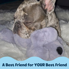 Load image into Gallery viewer, Snuggle Puppy Junior Heartbeat Puppy Toy - Heartbeat Puppy for Dogs - Pet Anxiety Relief and Calming Aid - Comfort Dog Toy - Behavioral Training and Sleep Aid Cuddle Buddy - Black
