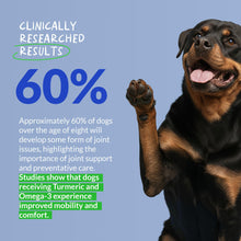 Load image into Gallery viewer, Turmeric Curcumin for Dogs - 90 Soft Chews - with Collagen, BioPerine and Fish Oil - Hip &amp; Joint Support, Ease Inflammation, Antioxidant.
