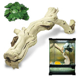 VCEPJH Large Snake Climbing Branch Decor 15.5 in Natural Reptile Wood Cork Log Bearded Dragon Tank Accessories Tree Trunk for Chameleon Gecko Ball Python Frog