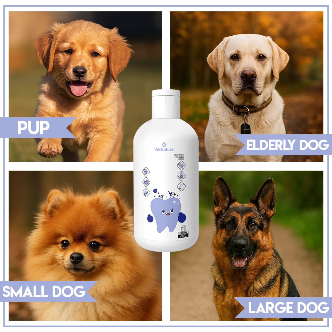 PawBright Dental Plus, Dog Dental Plus Water Natural, Odorless & Flavorless Formula to Fight Tartar Promote Healthy Gums, Easy Daily Use for All Pet 1pcs (8.45oz)