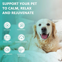 Load image into Gallery viewer, Max Potency Hemp Oil for Dogs &amp; Cats - Help Anxiety Stress Pain Inflammation Arthritis Aggressive Relax Sleep Allergies Seizures Relief - Treats Chews Joint &amp; Hip - Organic Pet Calming Drops - Non-GMO
