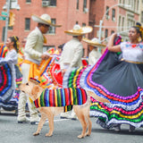 SCENEREAL Mexican Serape Dog Costume, Dog Sombrero Hat Pet Bandana Poncho Costume, Stitch Funny Dogs Colthes with Cowboy Hat for Small Medium Dogs, Chihuahua Clothes for Halloween Party Decorations