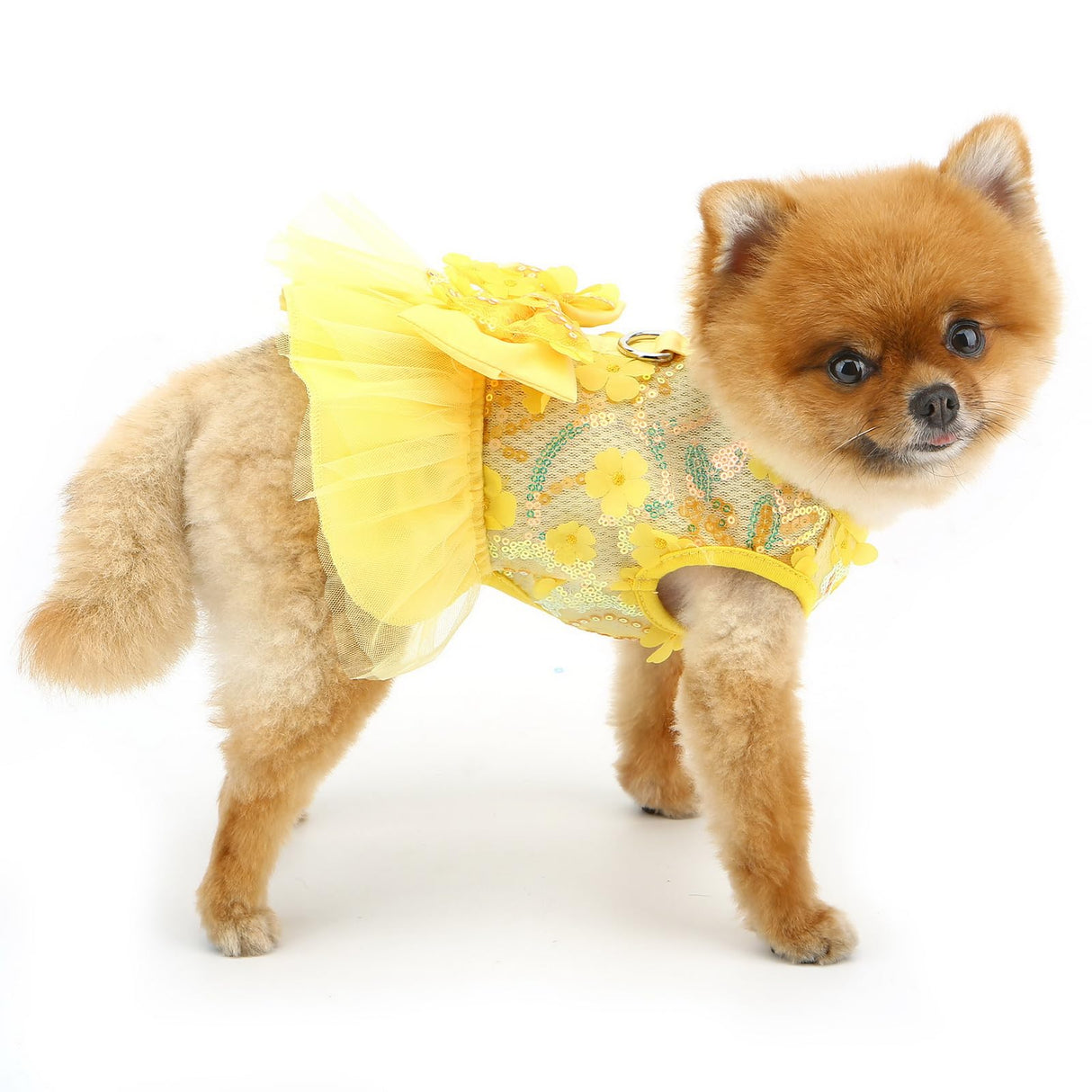 PAIDEFUL Dog Dress,Luxury Bow Princess Tutu Dresses for Girl Dogs Cute Fashion Mesh Pet Skirt with Sequins Flower Cat Puppy Clothes Wedding Party Outfits Chihuahua Apparel Button up D-Ring,Yellow,XL