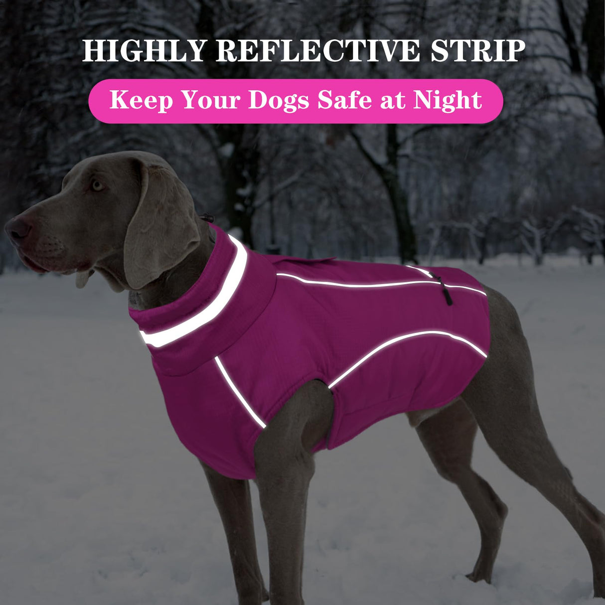 Doglay Waterproof Dog Coat, Reflective Dog Winter Jacket with Pocket & Turtleneck, Warm Puppy Snow Jacket for Small Medium Large Dogs - Pink, XL
