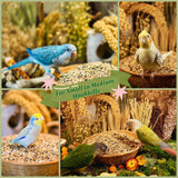 KikiBirds Premium Parrot Food| Protein-Rich Low-Fat Formula | Cockatiel, Conure, Lovebird, Quaker, Parrotlet | No Corn, Soy, Peanuts | Gourmet Whole Grains & Seeds | Daily Maintenance Blend (3 lbs)