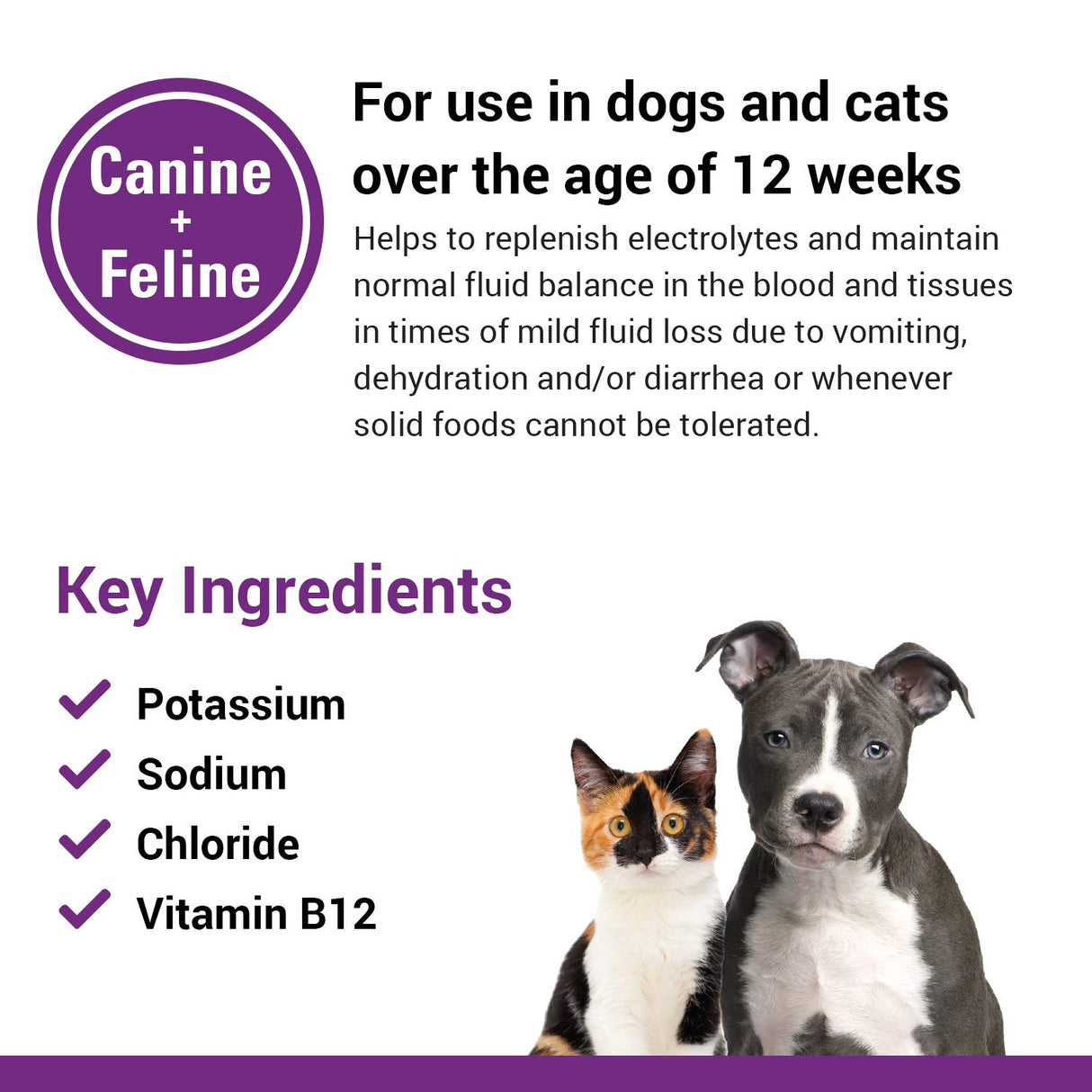 Vet Classics Pet-A-Lyte Oral Electrolyte Solution for Dogs and Cats – Helps Replace Fluids Lost from Pet Dehydration, Diarrhea, Vomiting – Replaces Dog Electrolytes – 32 Oz.