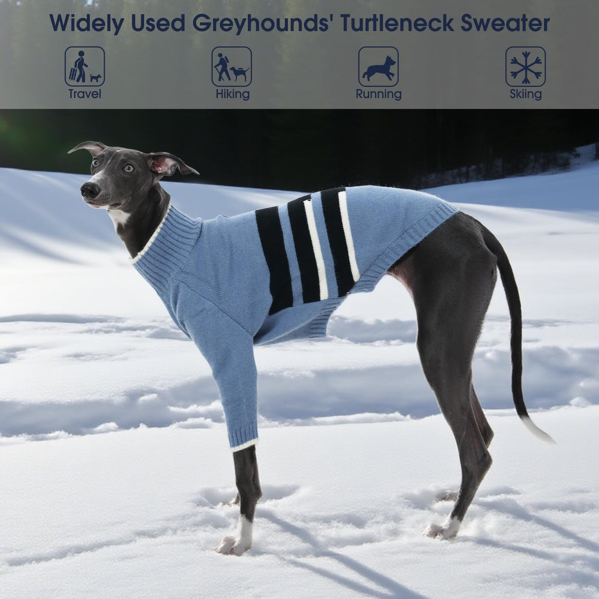 IECOii Warm Italian Greyhound Sweater, Whippet Clothes with Detachable Hood Turtleneck Sighthound Sweaters for Medium Dogs, Cozy & Stretchy Pullover Knitwear for Fall and Winter, Large- Blue