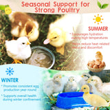 Chicken Electrolyte, Vitamin & Probiotic Supplement - Support Hydration Digestion Immunity Egg Production – Poultry Supplement for Chickens, Ducks, and All Ages of Birds – All-Season Use,10oz Powder