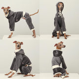 D Doggy Star Italian Greyhound Clothes, Corduroy Velvet Hooded Jumpsuit, Stretchy and Cozy (2XL,Hoodie Charcoal)