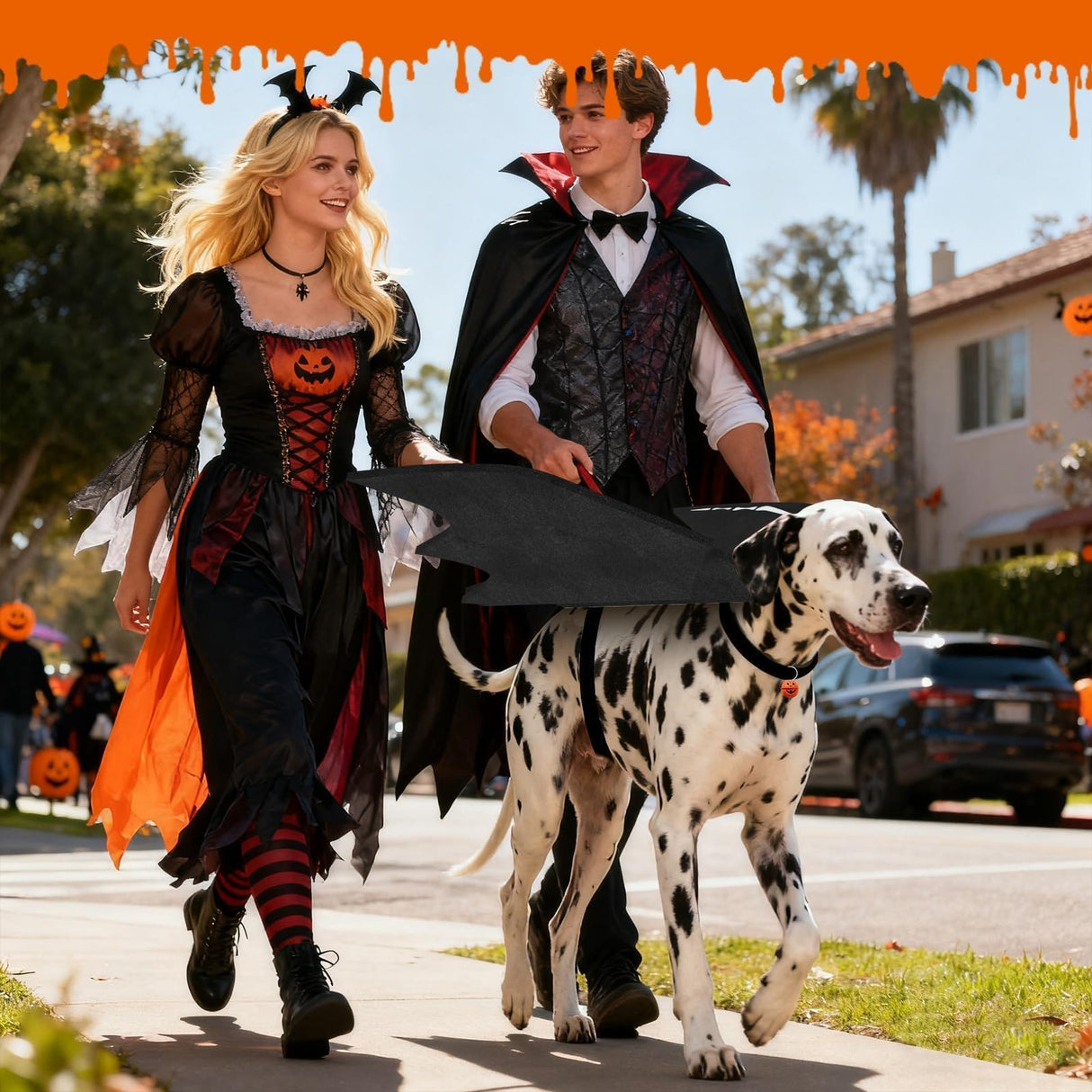 Olanrun Large Dog Halloween Costumes, Adjustable Dog Bat Wings Costumes for Large Dogs with Pumpkin Bell Skeleton Print On The Back, Pet Costume Halloween Cosplay Party Dress Up, XL Black