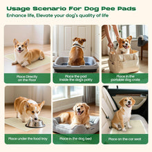 Load image into Gallery viewer, DOGGO DOUG Puppy Pads 100 Count Small 22x22in Bamboo Training Pads Deodorizing Leakproof Quick Drying Dog Pee Pads Super Absorbent Disposable Pee Pads for Dogs Puppies, Doggie, Cats, Rabbits
